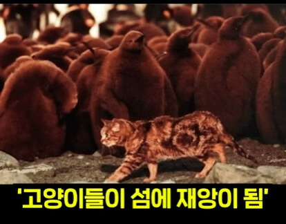 생태계를 박살내면 복구하기 어려운 이유.jpg | 인스티즈