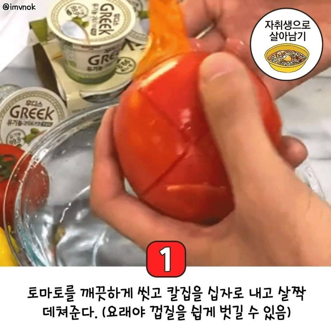 그릭복숭아에 이은 그릭토마토 레시피 | 인스티즈