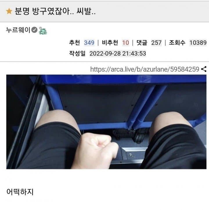 공포탄인줄 알았는데 실탄 발사됨.jpg | 인스티즈