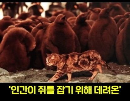 생태계를 박살내면 복구하기 어려운 이유.jpg | 인스티즈