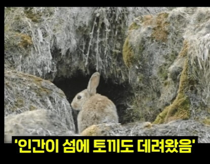 생태계를 박살내면 복구하기 어려운 이유.jpg | 인스티즈