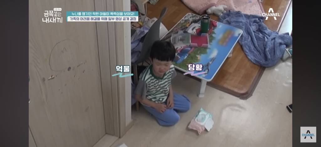 금쪽이에서 출연자 보호로 현장에서만 원본 공개되었다는 충격적인 영상의 일부 | 인스티즈