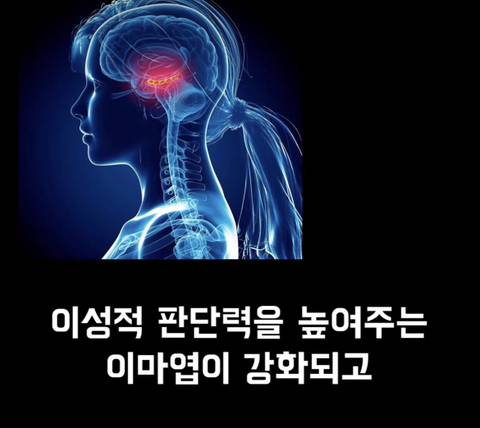 달리기 (러닝) 을 안하는게 손해인 이유 | 인스티즈