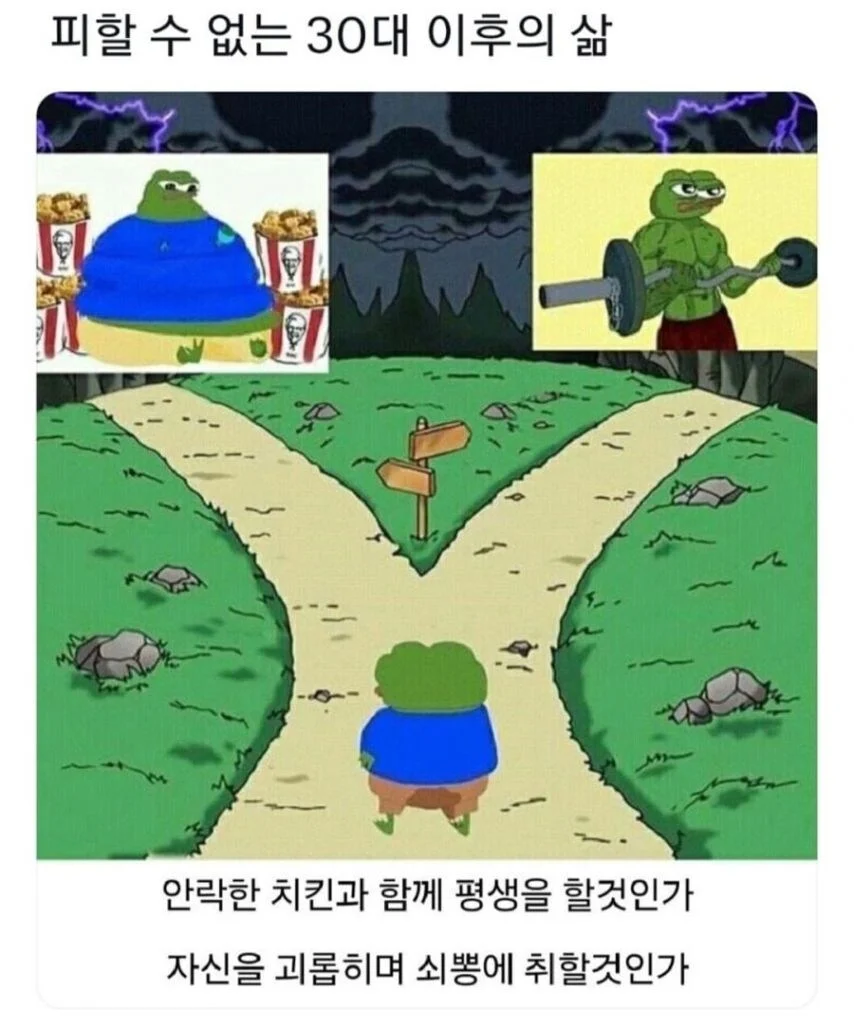 피할수 없는 30대 이후의 삶 | 인스티즈