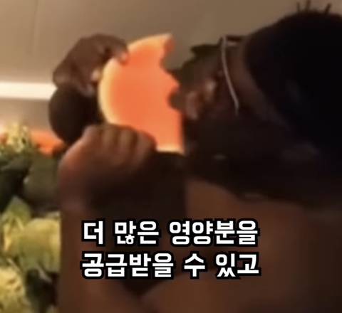 달리기 (러닝) 을 안하는게 손해인 이유 | 인스티즈