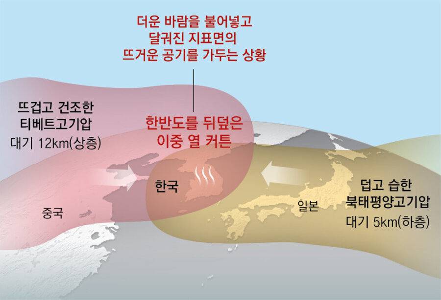 앞으로 몇주간 죽었다 라고 생각해야 되는 이유 | 인스티즈