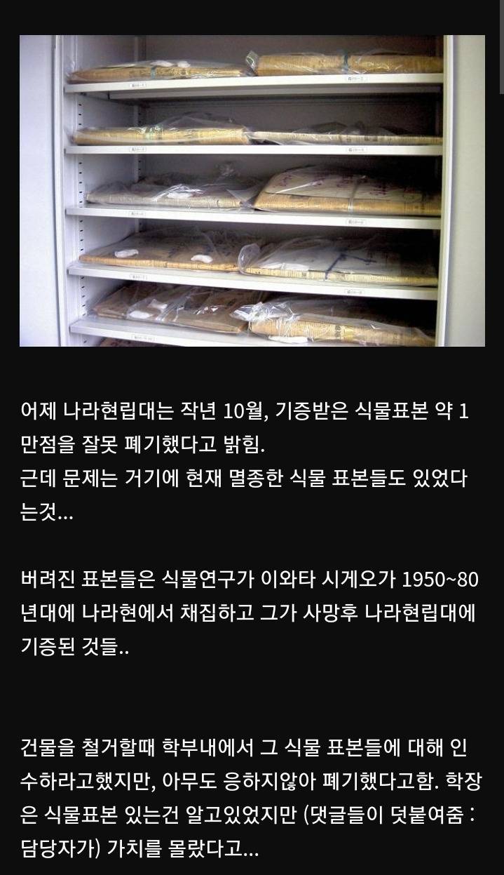 멸종한 식물 표본도 폐기해버려서 난리난 일본의 대학교 | 인스티즈