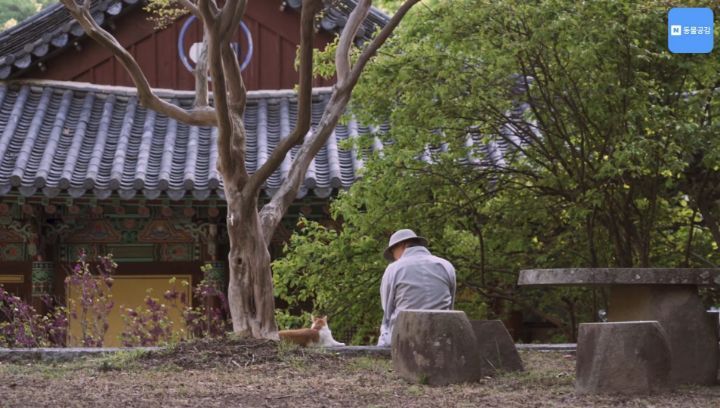 한국기행보는데 고양이가 귀여움 | 인스티즈