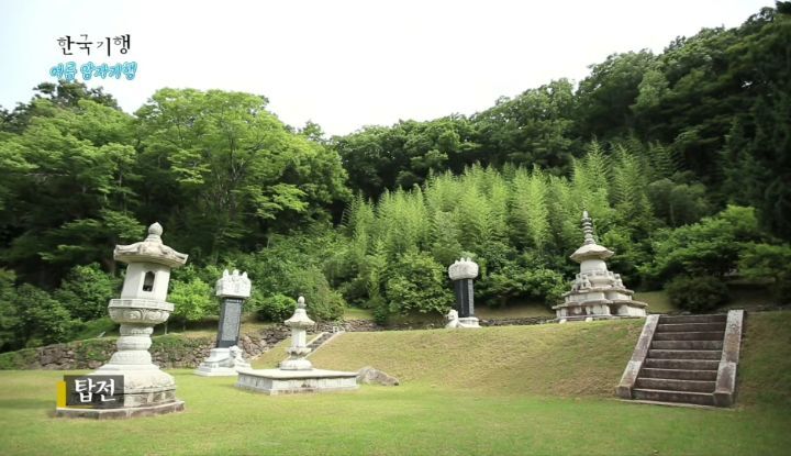 한국기행보는데 고양이가 귀여움 | 인스티즈