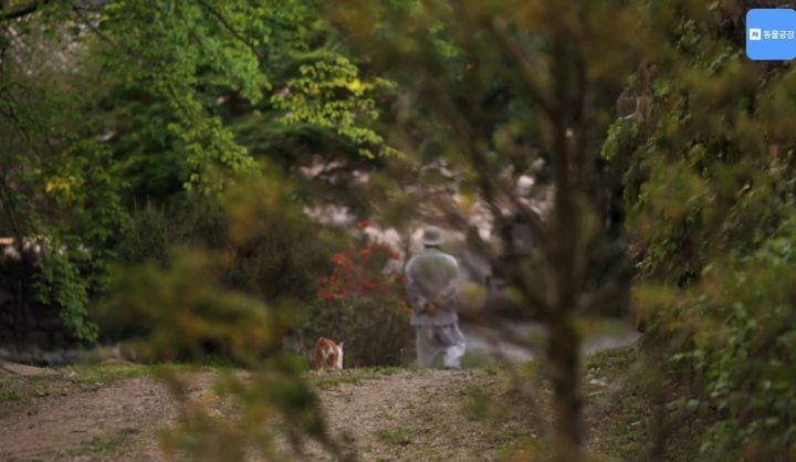 한국기행보는데 고양이가 귀여움 | 인스티즈