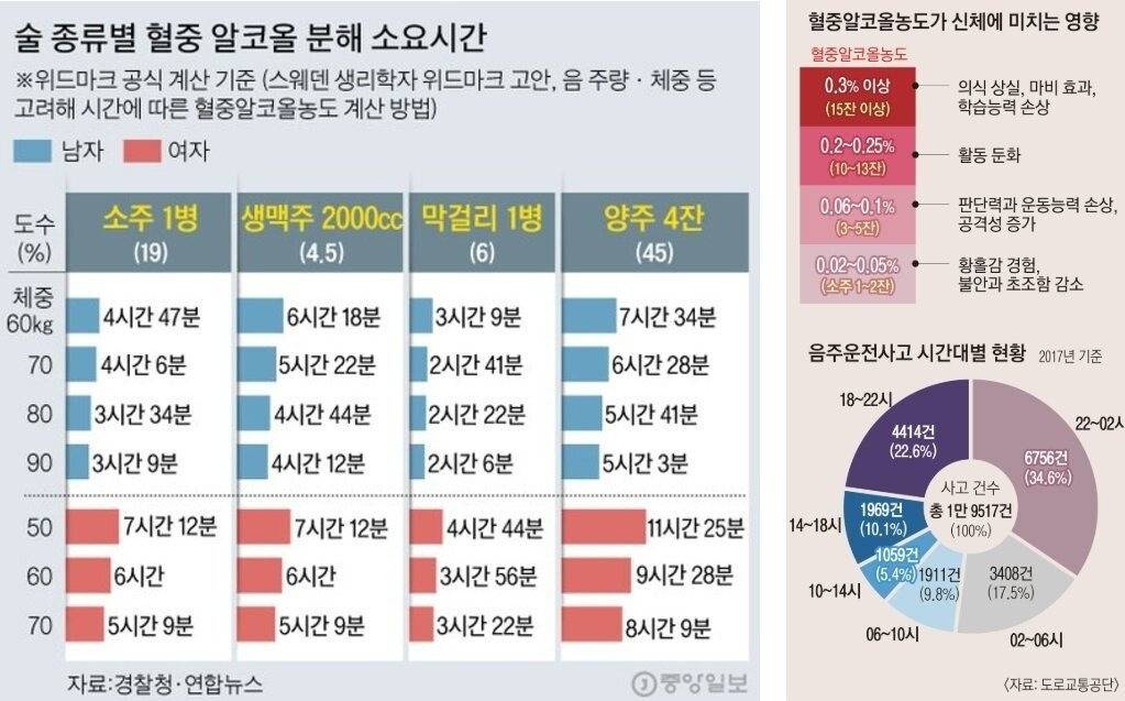 채코제(여행유투버) 오늘 있었던 이슈 정리 | 인스티즈