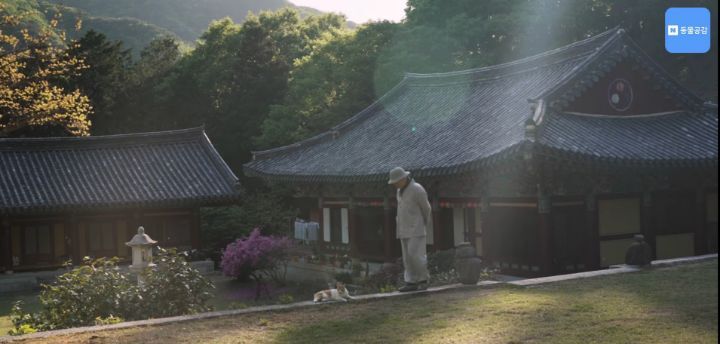 한국기행보는데 고양이가 귀여움 | 인스티즈