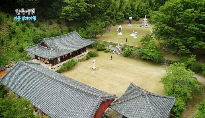 한국기행보는데 고양이가 귀여움 | 인스티즈