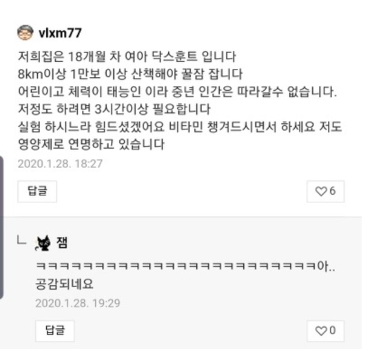 하루 산책 여섯번 나가면, 강아지는 지칠까? | 인스티즈