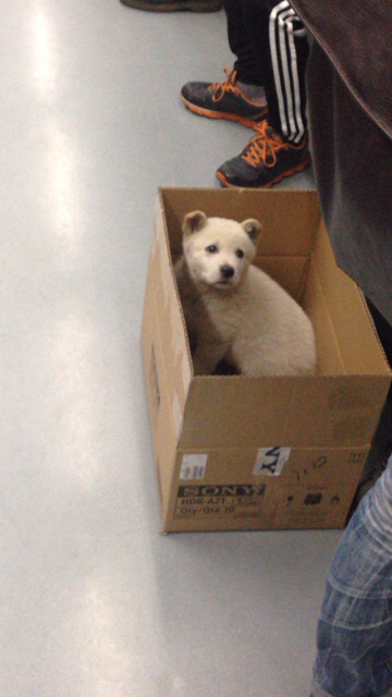 어서 와 지하철은 처음이지? | 인스티즈