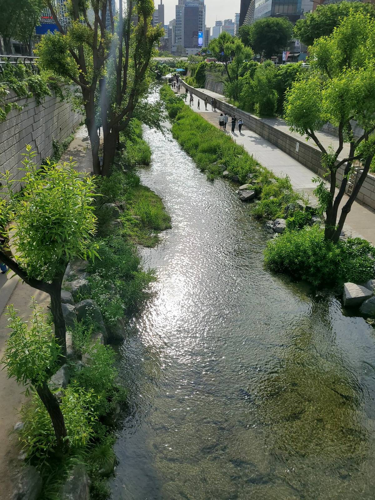 한국인들과 서울 사는 외국인들이 서로 다르게 생각하는 것.JPG | 인스티즈