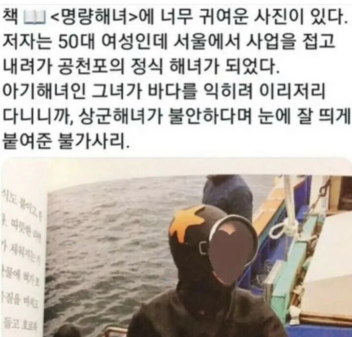 초보 해녀를 위한 표식 | 인스티즈