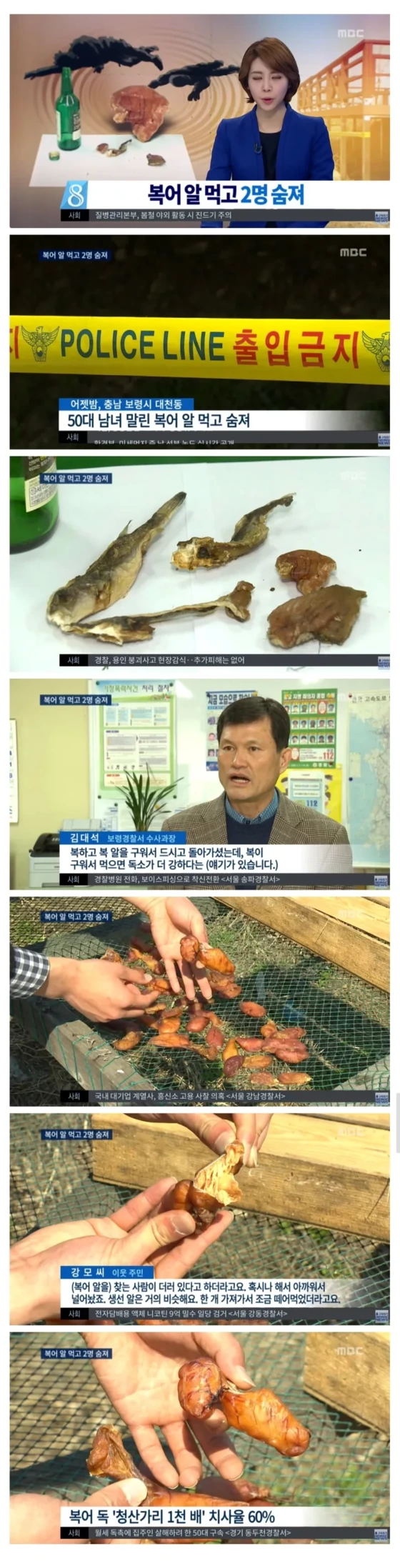 말린 복어알 훔먹고 사망한 사람들 | 인스티즈