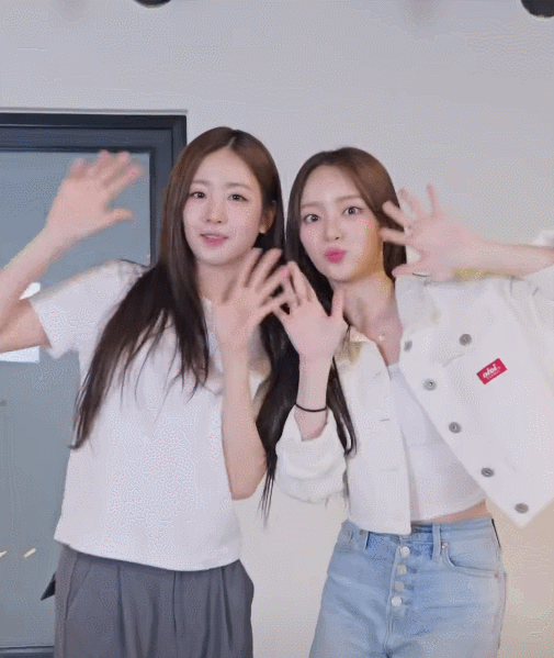 여돌 팬들이 아이돌 챌린지 올라오면 반응 엄청 좋다는거.gif | 인스티즈