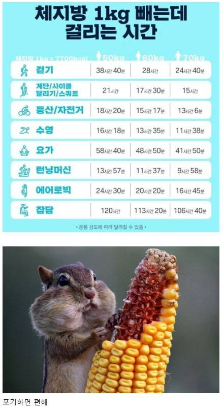 체지방 1kg 빼는데 걸리는 시간 | 인스티즈