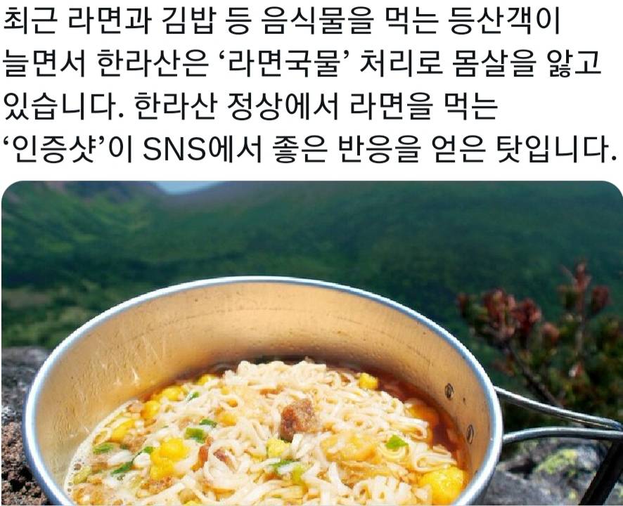 라면 국물에 절여진 한라산…"염분으로 식물 멸종돼 간다” | 인스티즈