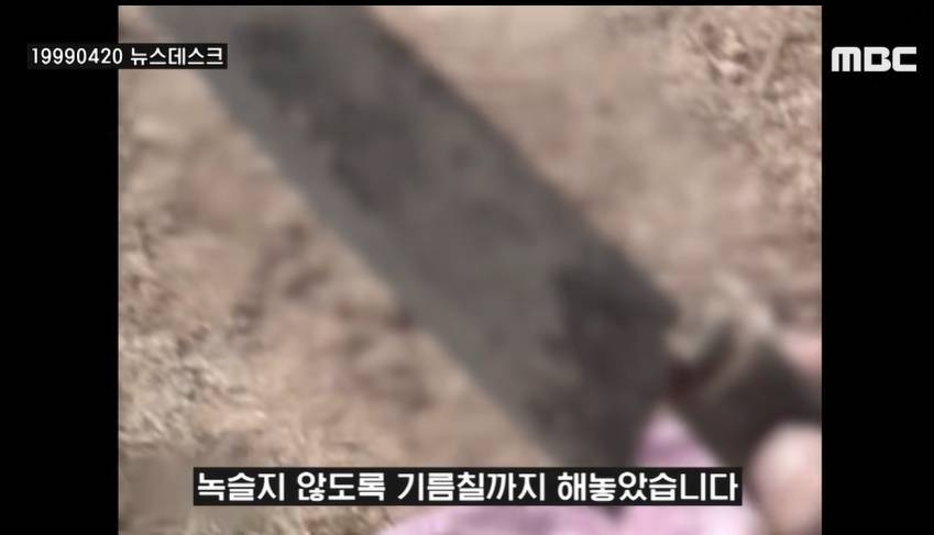 이순신 장군묘에서 발견되었던 식칼과 쇠말뚝 | 인스티즈