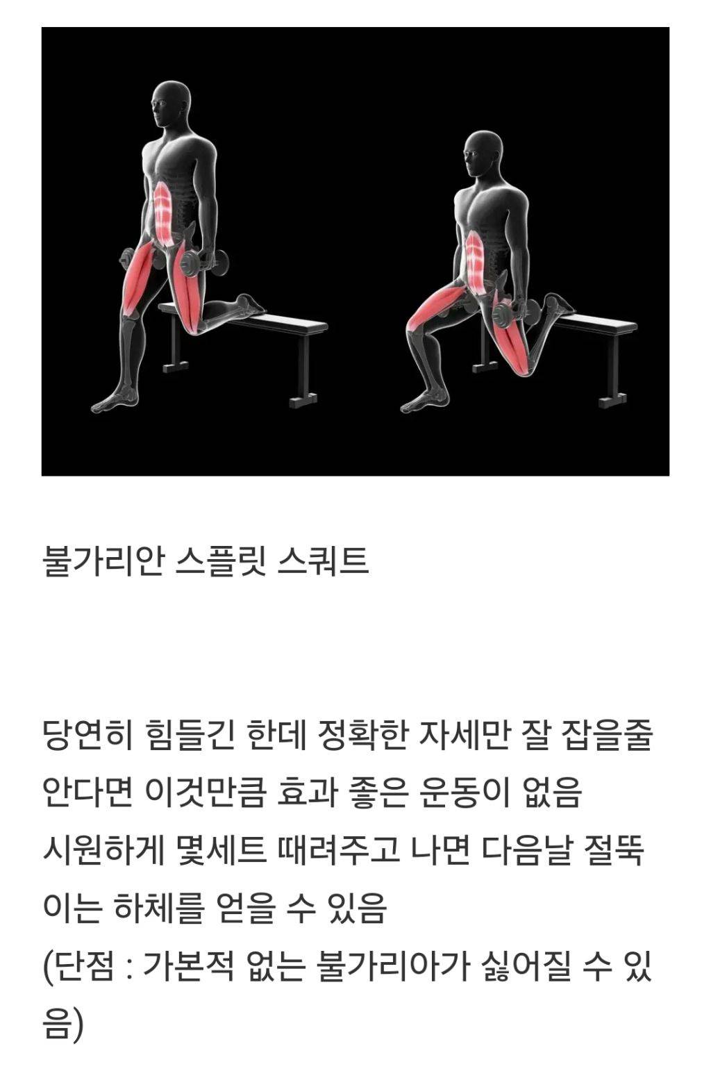 은근히 즐기는 사람 많다는 하체운동 | 인스티즈