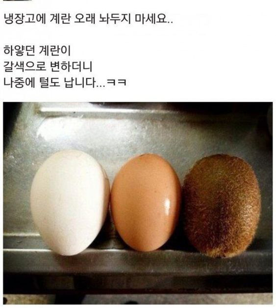 냉장고에 계란 오래 놔두지 마세요.. | 인스티즈