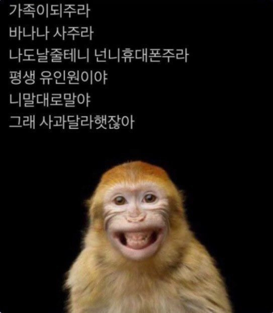 웃어도 되나 싶은 유머글 모음 | 인스티즈