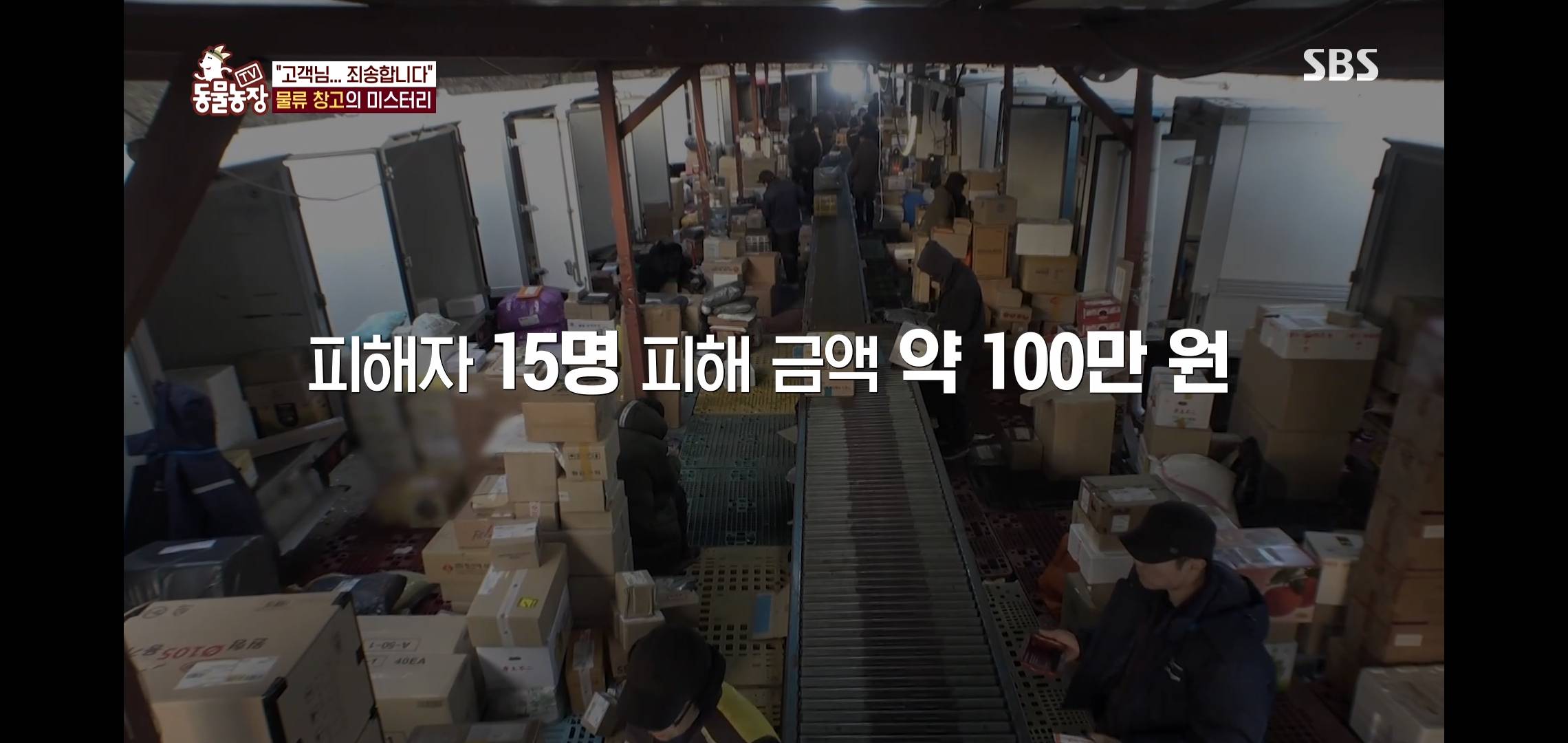 오늘자 동물농장에 나온 100만원 피해 일으킨 진짜 도둑고양이들.jpg | 인스티즈