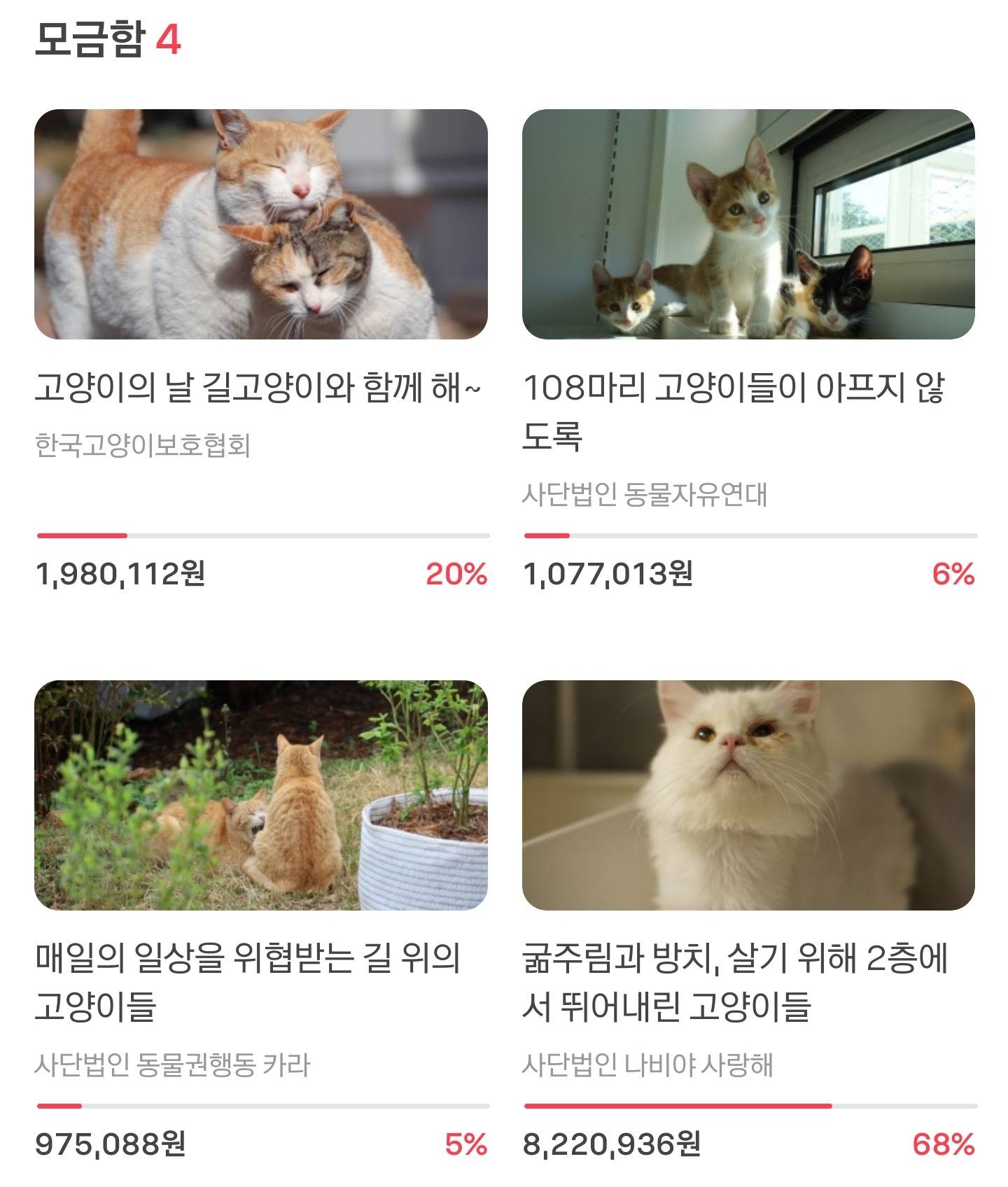 🐱우리를 응원해 주면 1,000원이 전달될고양🐱 | 인스티즈