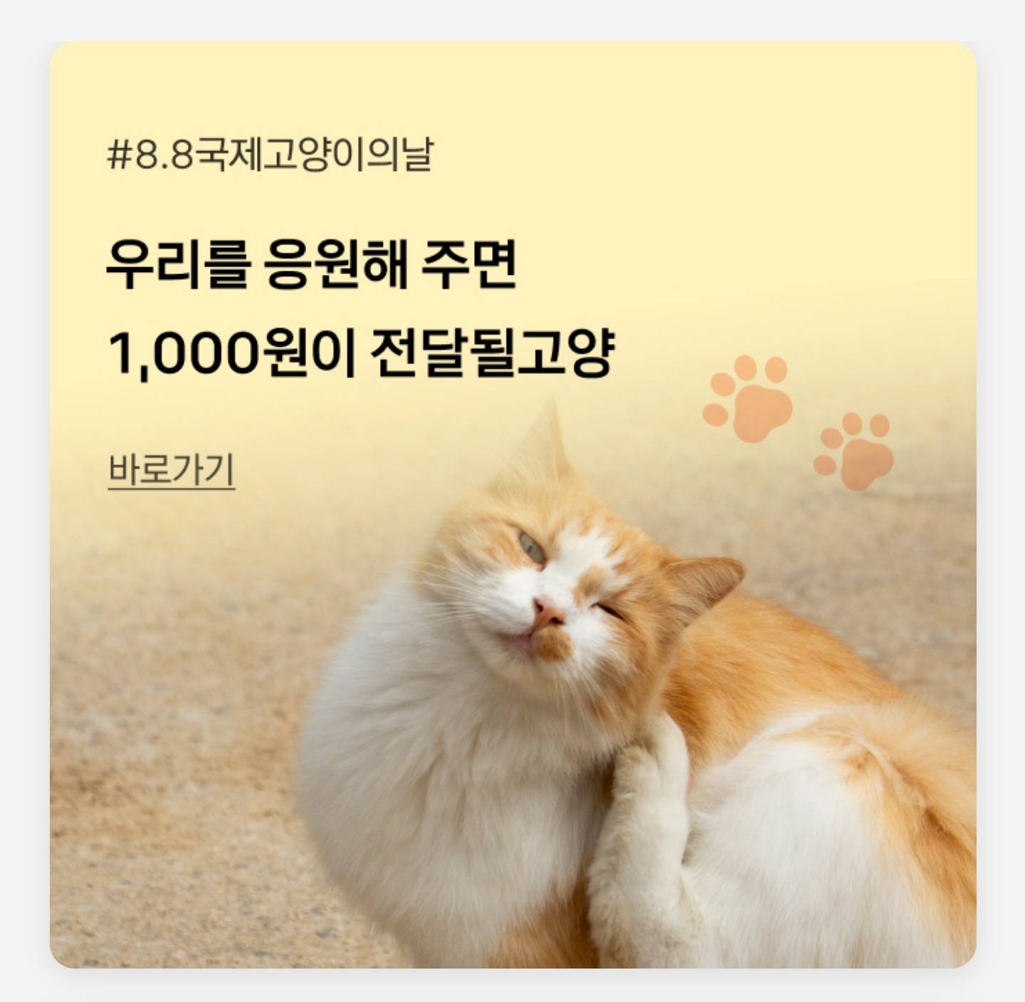 🐱우리를 응원해 주면 1,000원이 전달될고양🐱 | 인스티즈