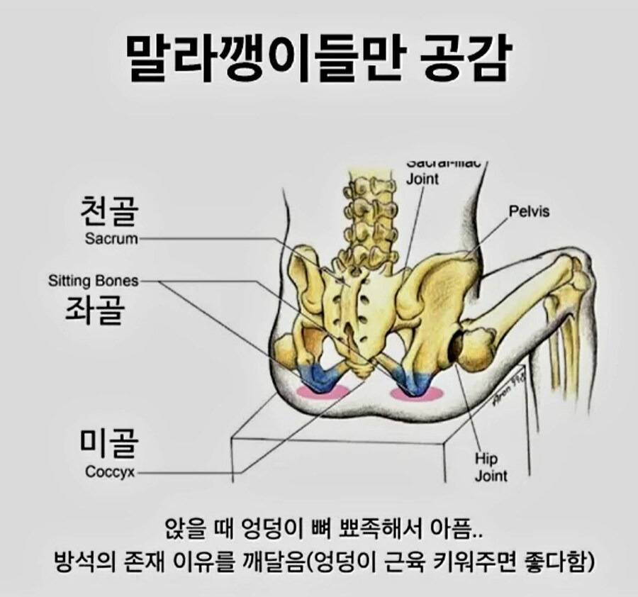 마른 사람들만 공감한다는 고통.jpg | 인스티즈