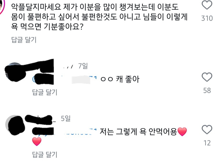 영상 올라올때마다 댓글 너무 심각한 욘니와 치애 인스타그램 | 인스티즈