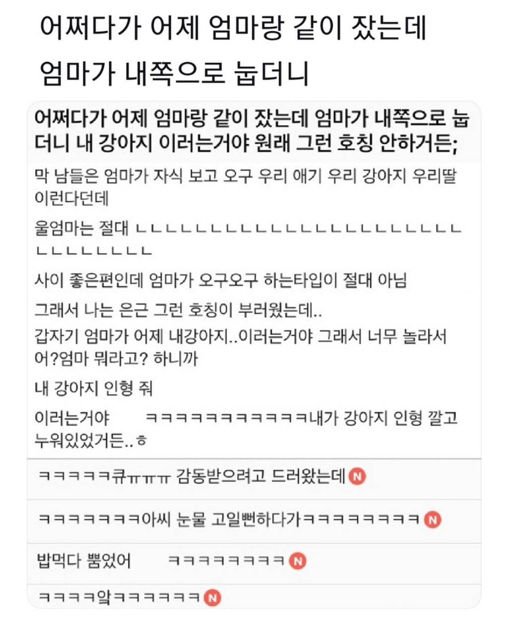 어쩌다가 어제 엄마랑 같이 잤는데 엄마가 내쪽으로 눕 더니 내 강아지 이러는거야 ㅠ | 인스티즈