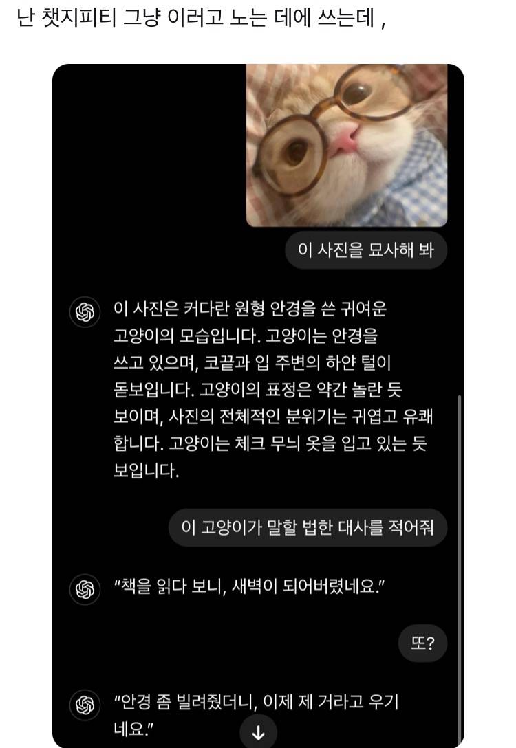 난 챗지피티 그냥 이러고 노는 데에 쓰는데.twt | 인스티즈