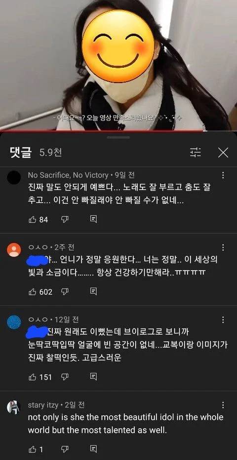 연예인 브이로그 외국vs한국 반응 차이 충격인달글 | 인스티즈