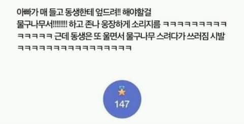 힐링되는 아기썰 타래 | 인스티즈