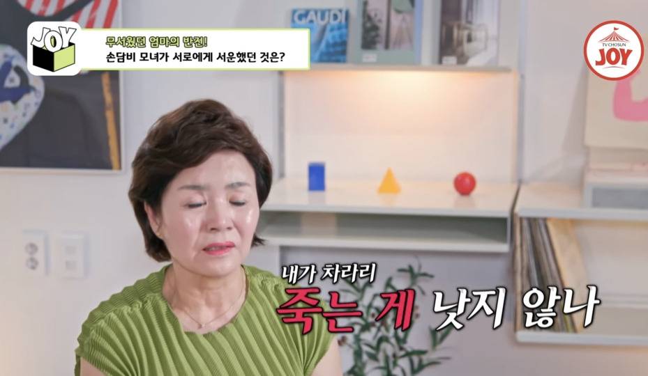 [종편] 손담비가 결혼 하지 않으려고 했던 이유 | 인스티즈