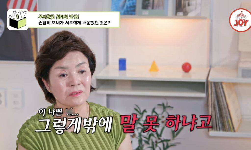 [종편] 손담비가 결혼 하지 않으려고 했던 이유 | 인스티즈