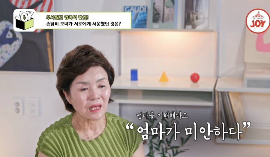 [종편] 손담비가 결혼 하지 않으려고 했던 이유 | 인스티즈