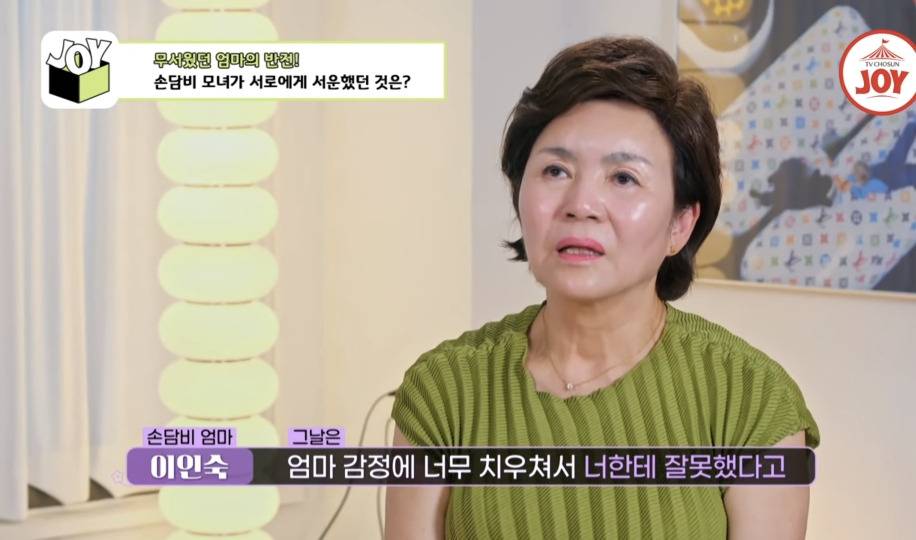 [종편] 손담비가 결혼 하지 않으려고 했던 이유 | 인스티즈