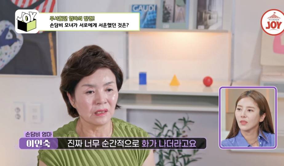 [종편] 손담비가 결혼 하지 않으려고 했던 이유 | 인스티즈