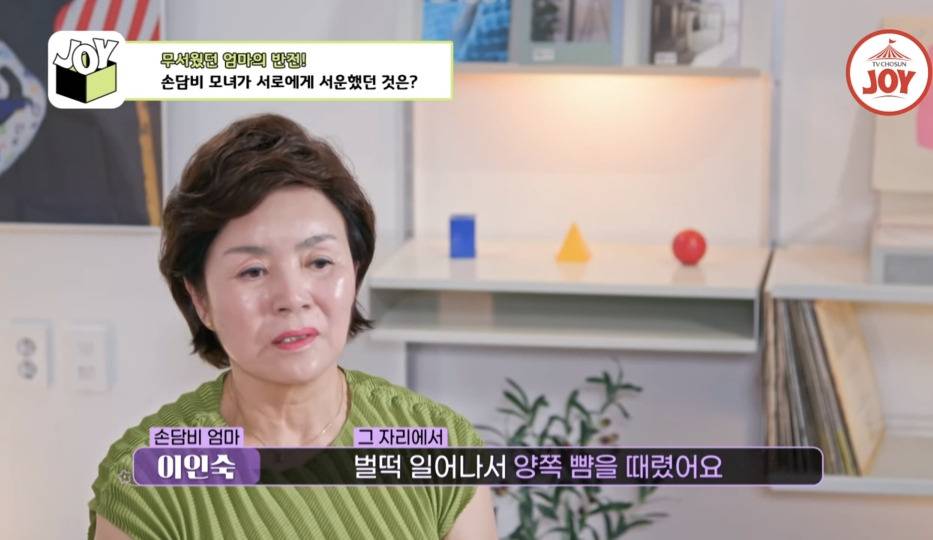 [종편] 손담비가 결혼 하지 않으려고 했던 이유 | 인스티즈