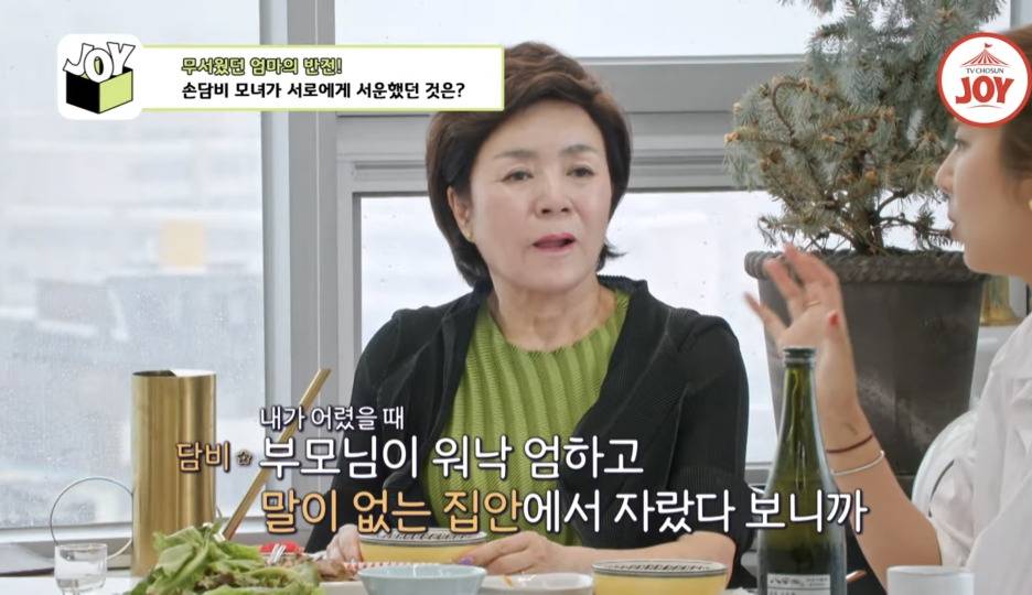 [종편] 손담비가 결혼 하지 않으려고 했던 이유 | 인스티즈