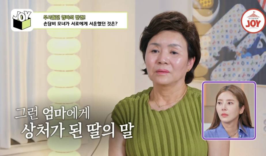 [종편] 손담비가 결혼 하지 않으려고 했던 이유 | 인스티즈