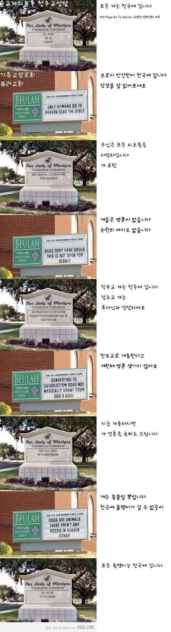강아지가 매일 성당에 나오는 이유 | 인스티즈