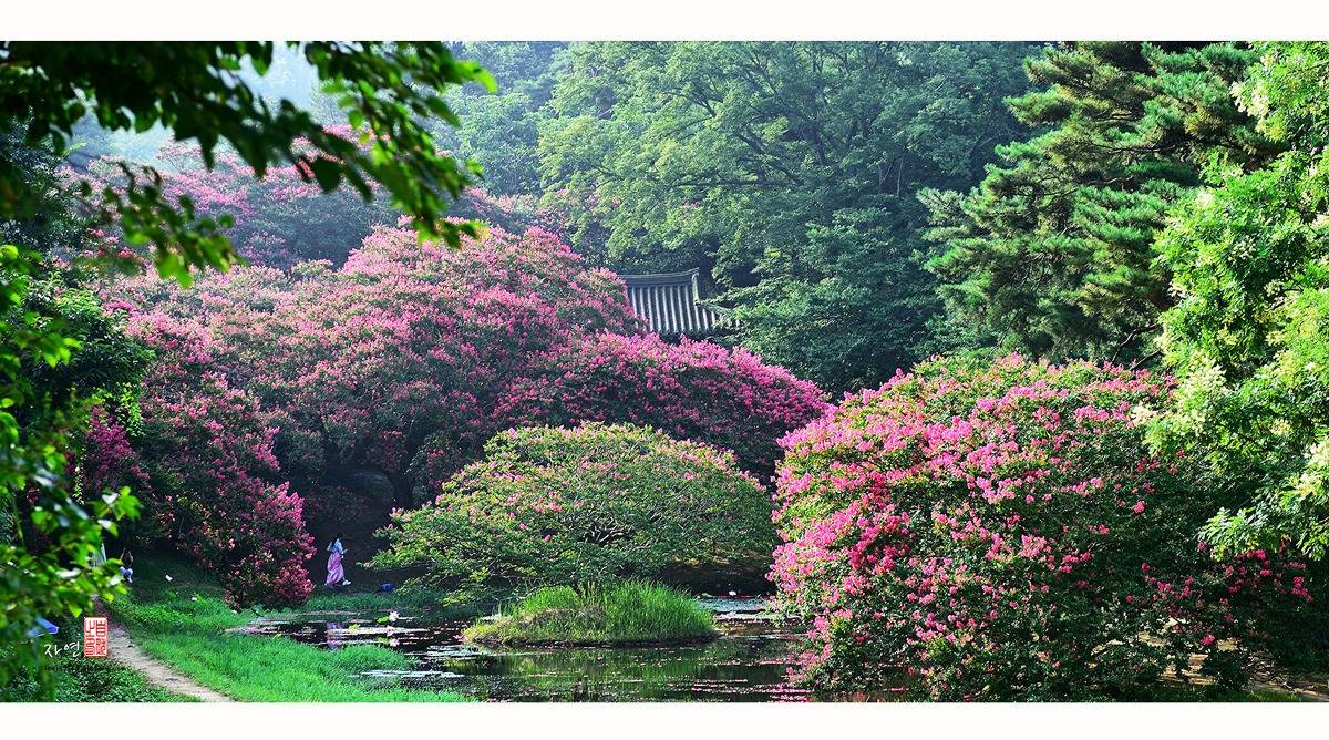 한국인들도 잘 모를 것 같은 우리나라 전통 정원들.jpg | 인스티즈