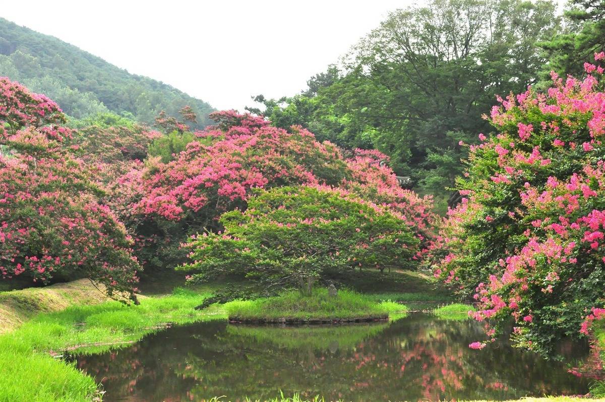 한국인들도 잘 모를 것 같은 우리나라 전통 정원들.jpg | 인스티즈