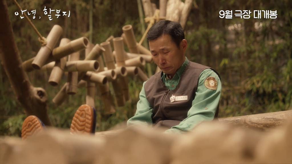 푸바오를 보내고 많이 울었던 사육사들 | 인스티즈